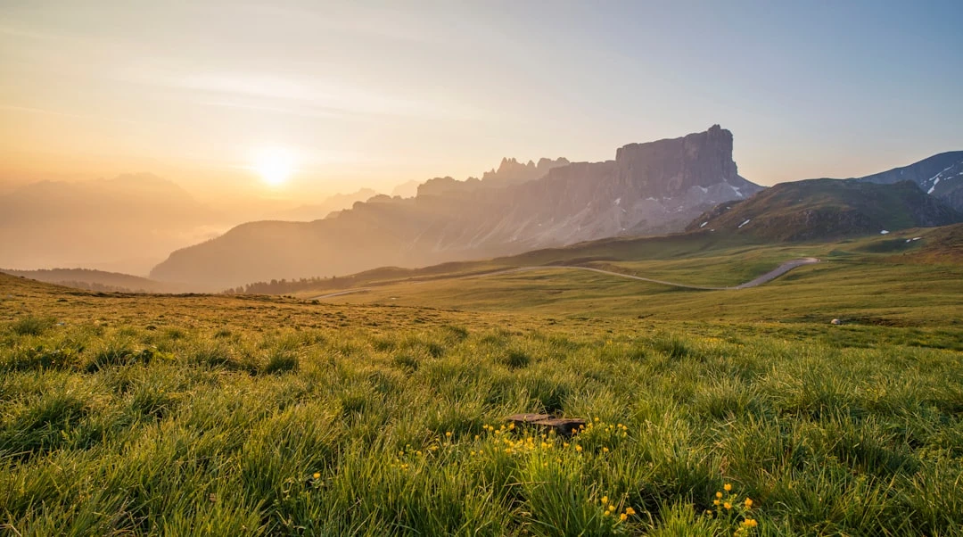 TheMindLog.com blog: High-Yield Dividend Stocks: The Smart Investor's Guide to Passive Income in 2025