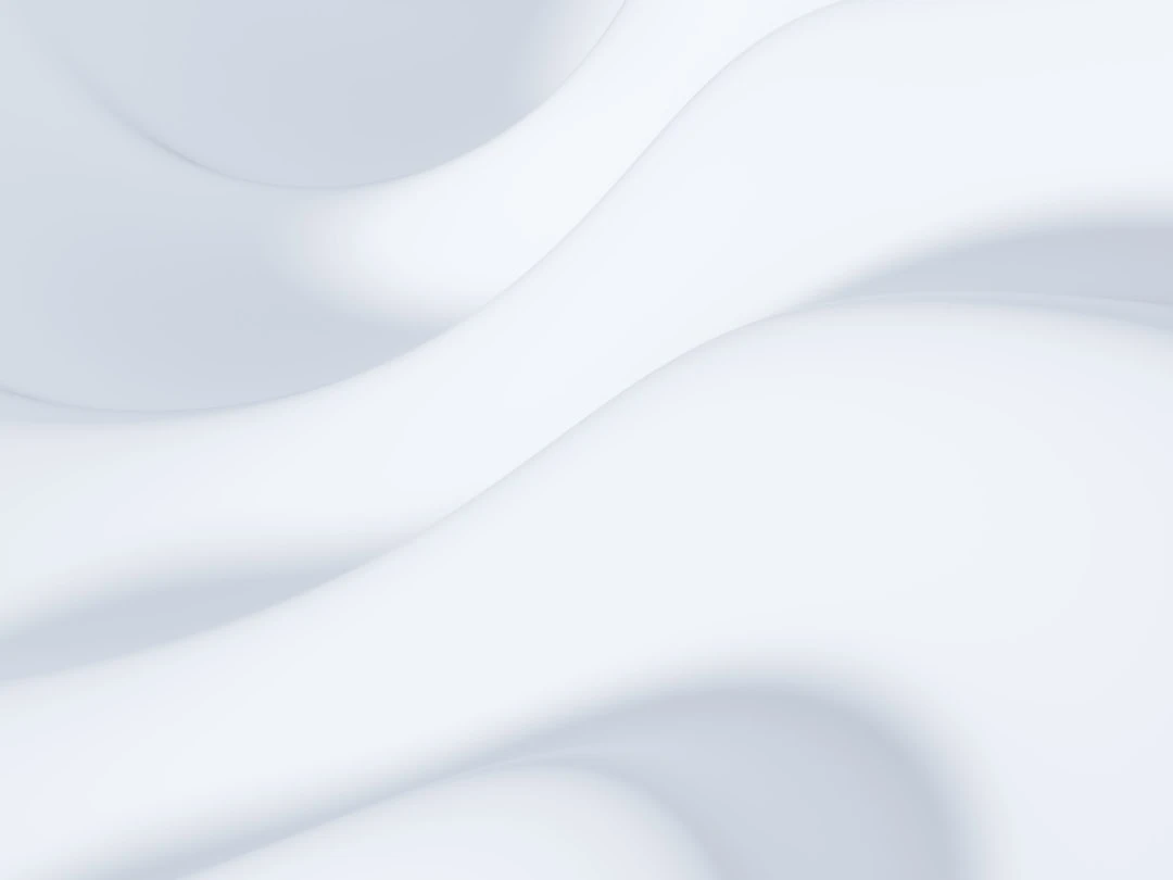 TheMindLog.com blog: Minimalist Business Models: Doing More with Less