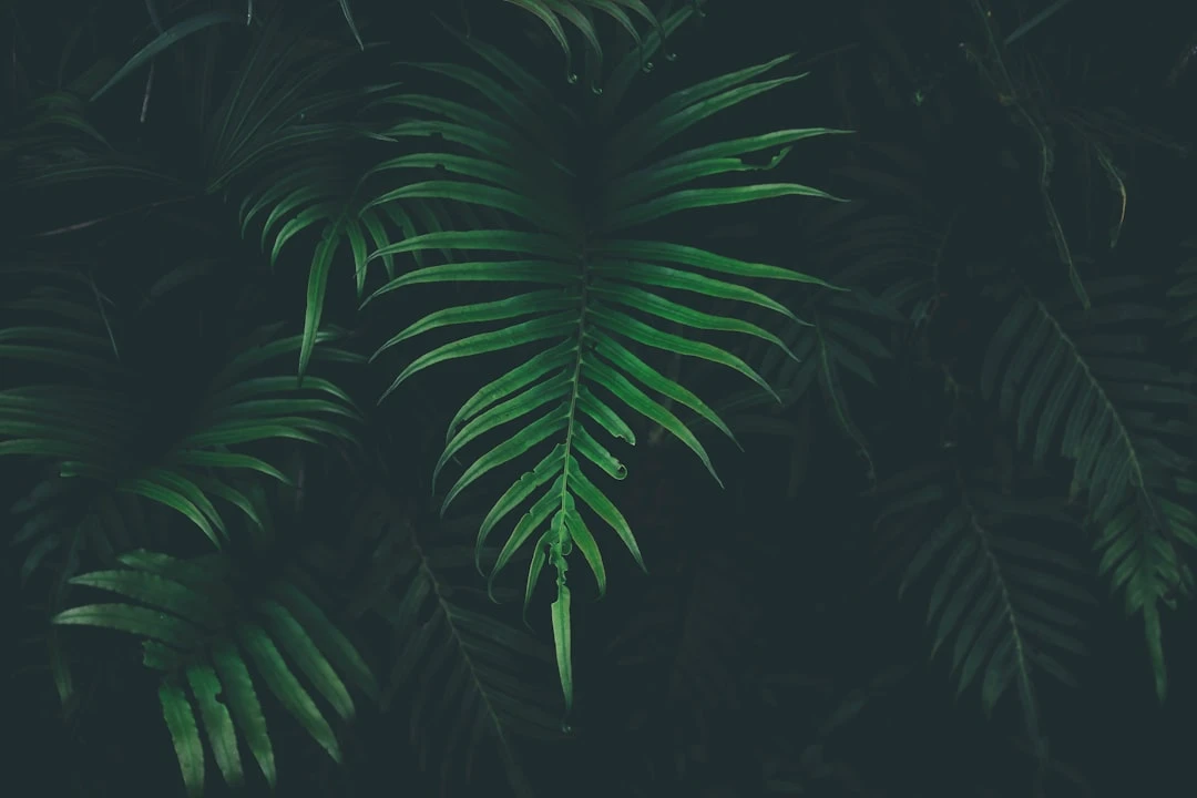 TheMindLog.com blog: Passive Income in 2025: Top 3 Digital Products You Can Sell While You Sleep