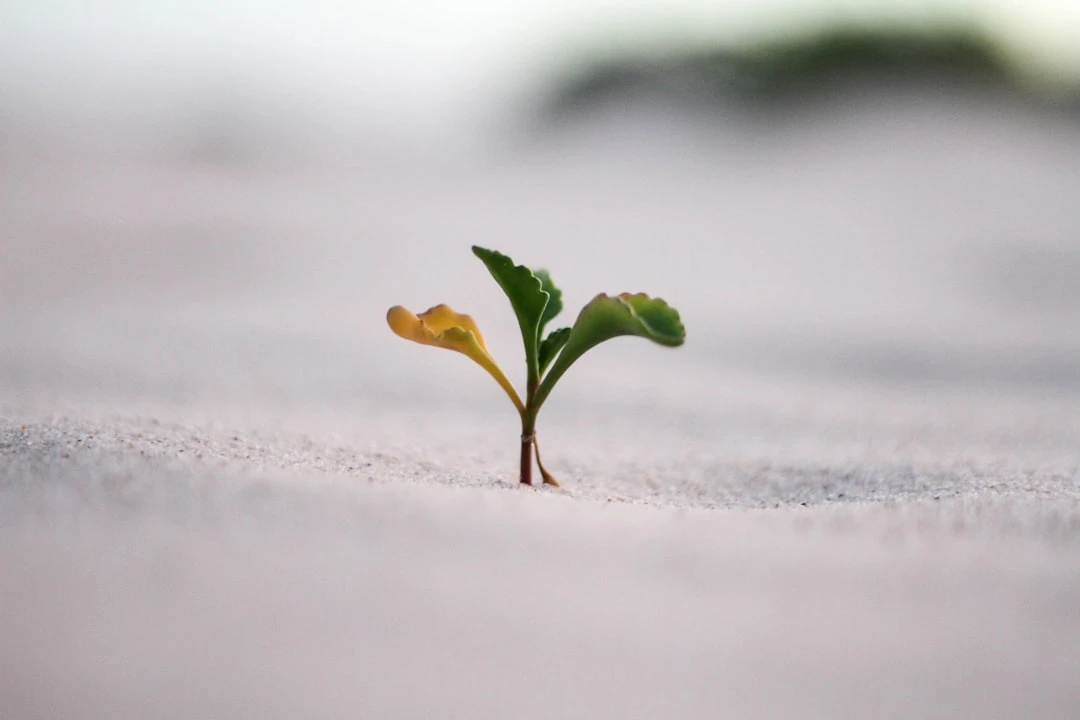TheMindLog.com blog: Personal Development Lessons from Top Entrepreneurs in 2025