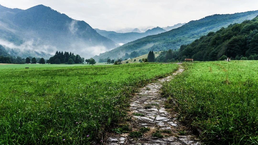 TheMindLog.com blog: Your 2025 Guide to Personal Growth